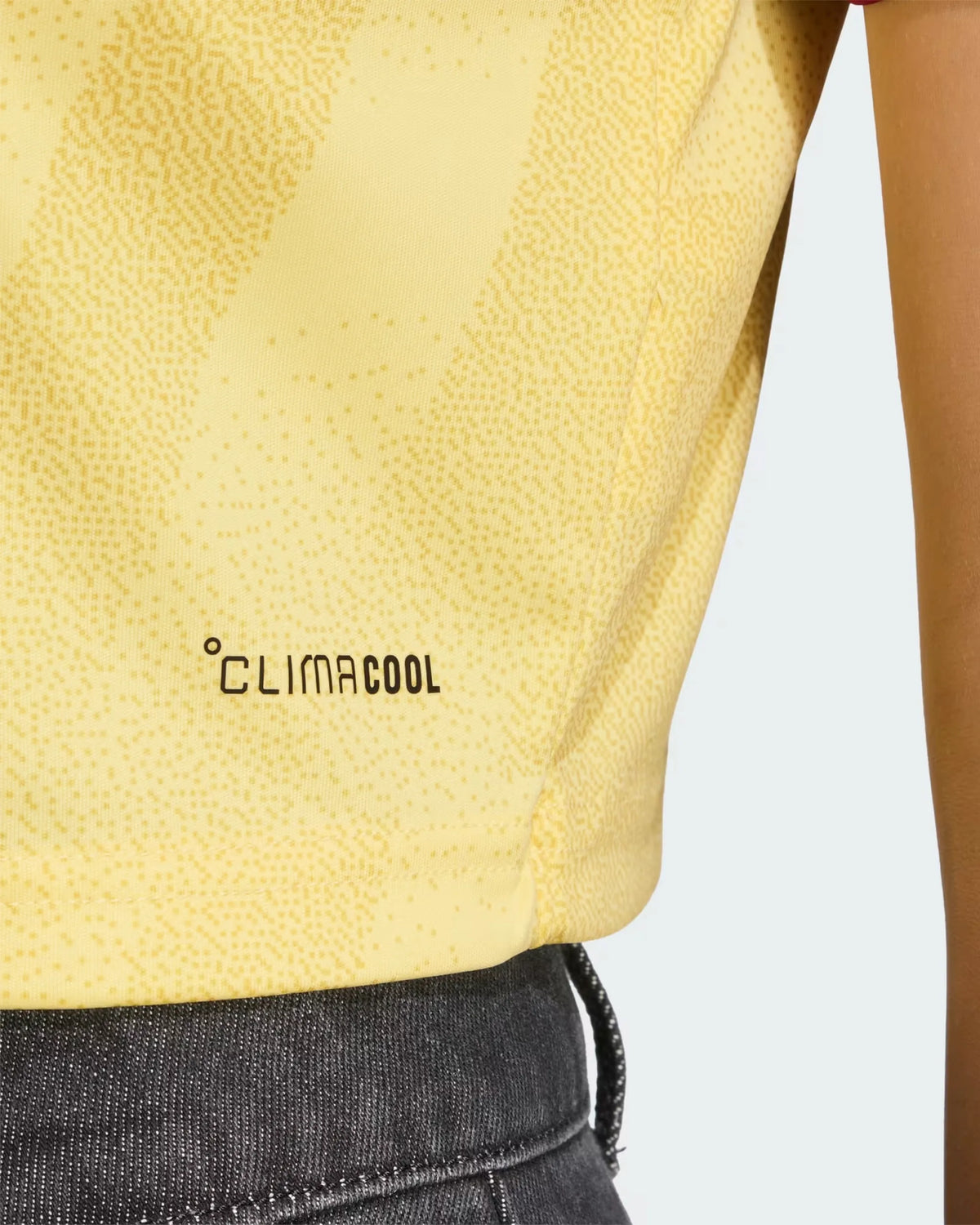 Arsenal 26-27 Third Cropped Jersey - Detail
