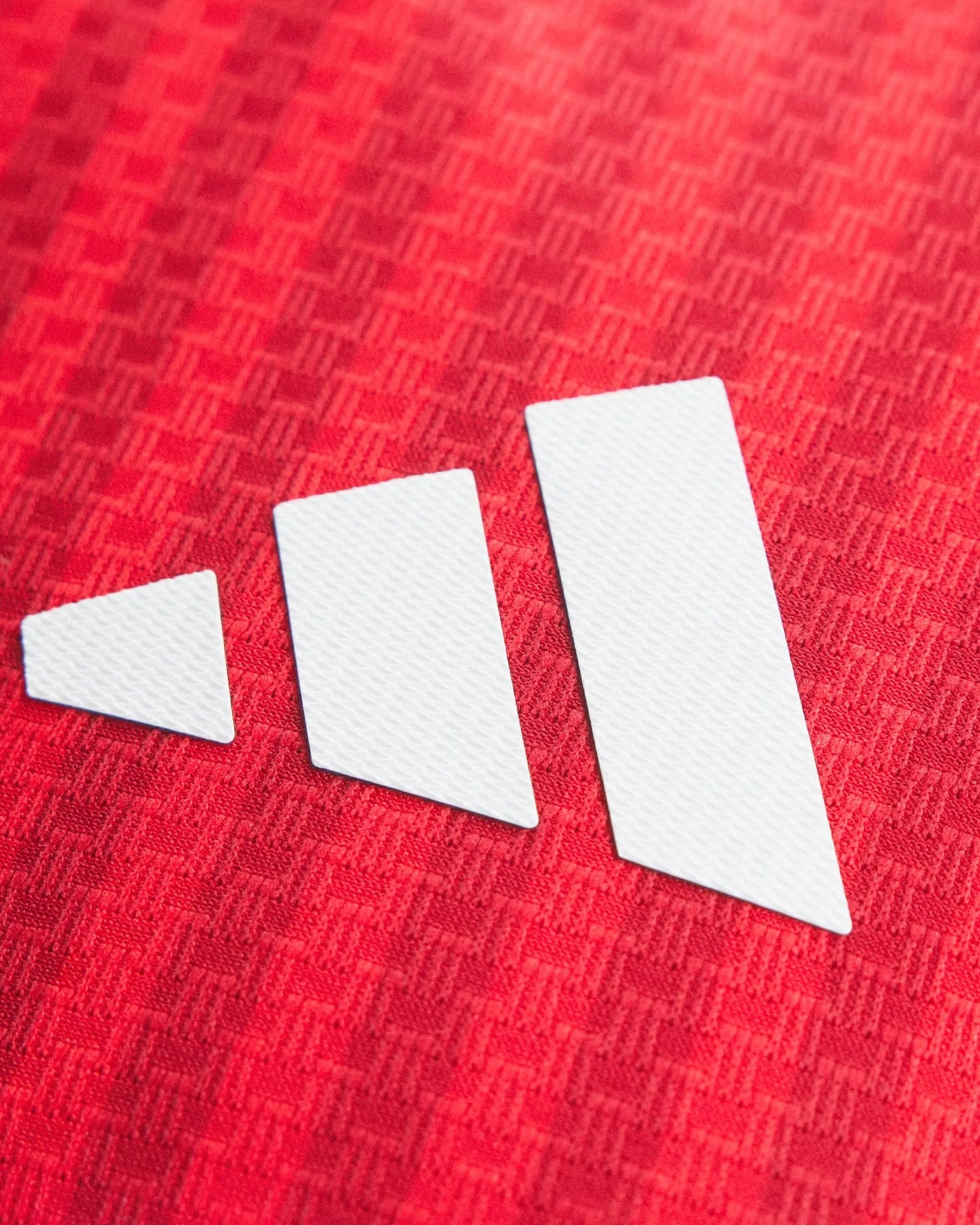 Bayern Munich 26-27 Player Version Long Sleeve Home Jersey - Detail