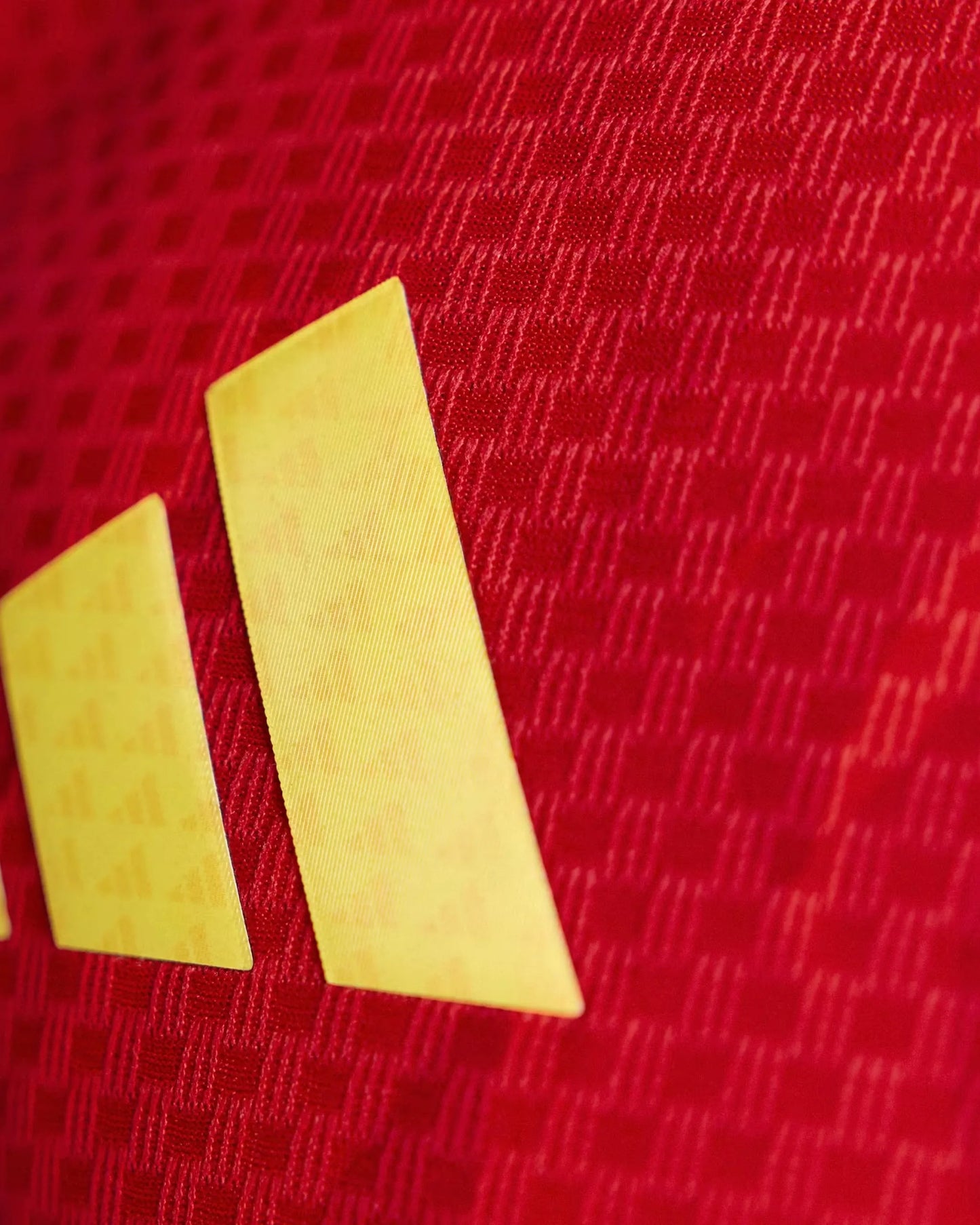 Belgium 2026 Player Version Home Jersey - Detail