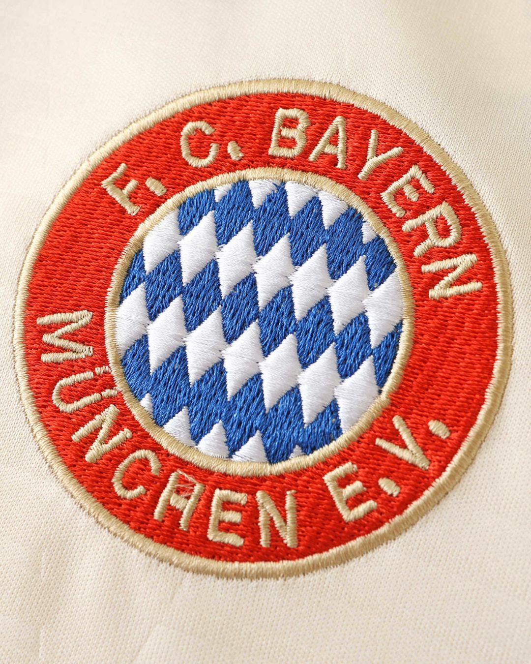 Bayern Munich 24-25 Third Jersey