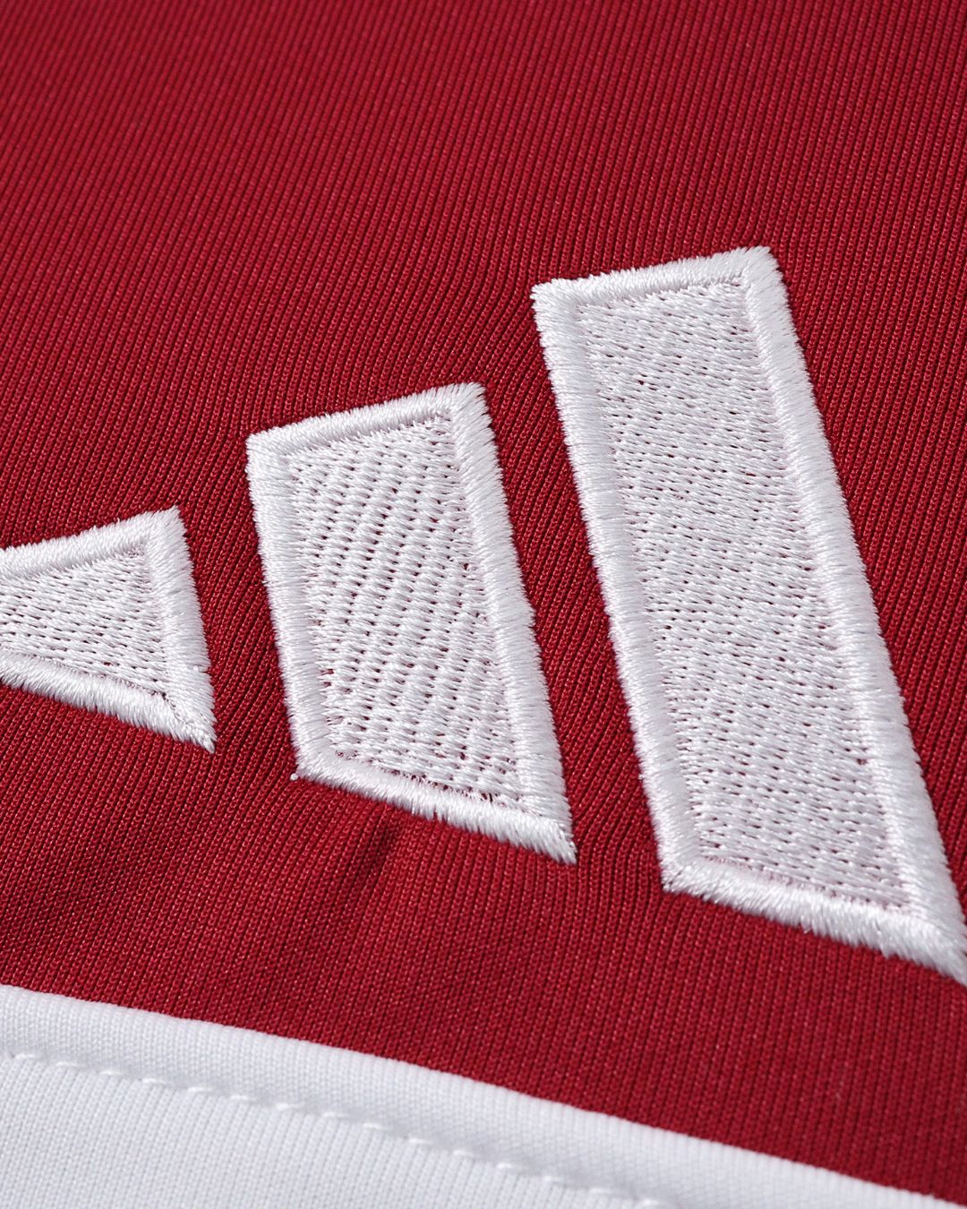 Bayern Munich 25-26 Sweatshirt