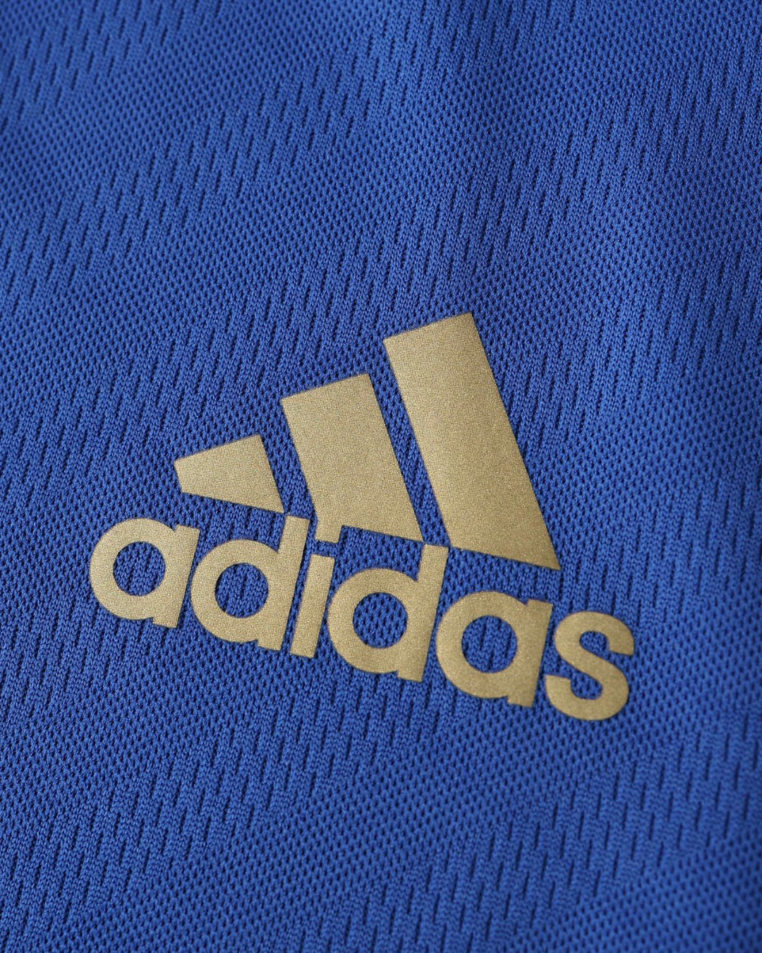 Chelsea 12-13 Home Retro Jersey